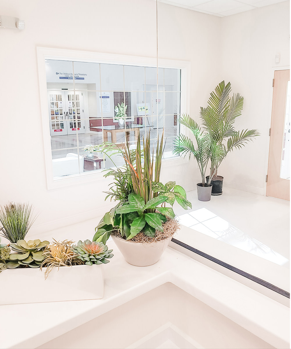 Our wonderful new front desk area, filled with plants!